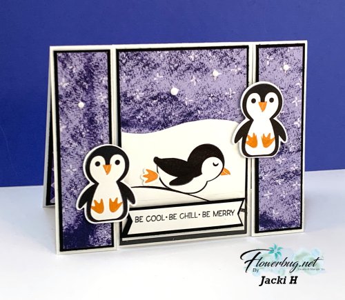 November Jacki Penguin Place