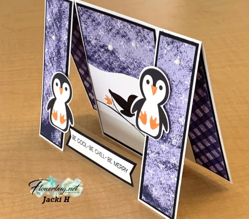 November Jacki Penquin