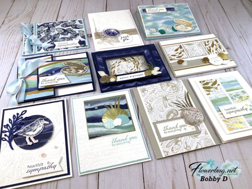 Seaside Bay Bobby all