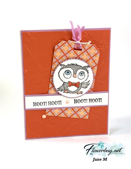 Jan BeautifullyHappy Ginny