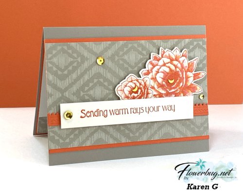 Jan Desert Details Karen G