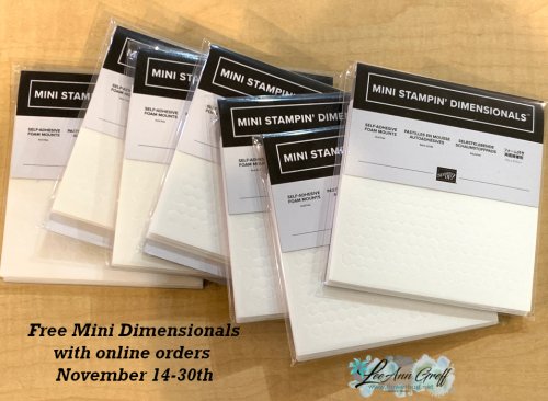 Nov 22 mini dimensionals