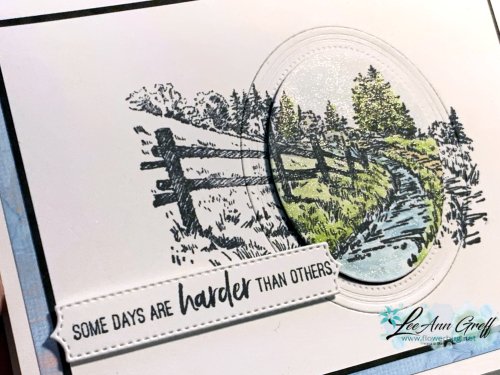 In the Country spolighting