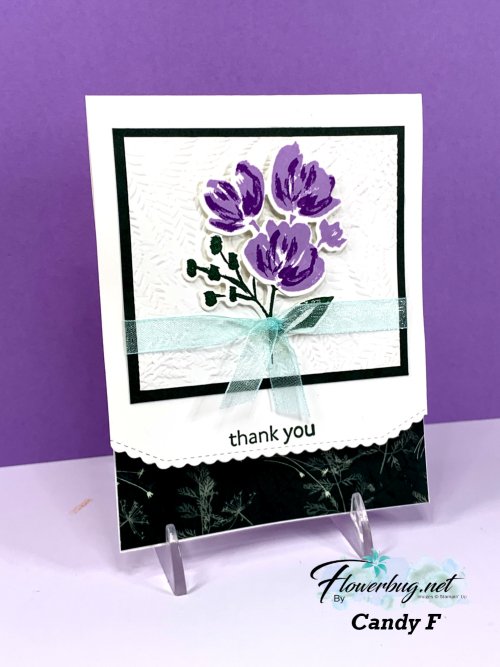 April Candace Art Gallery