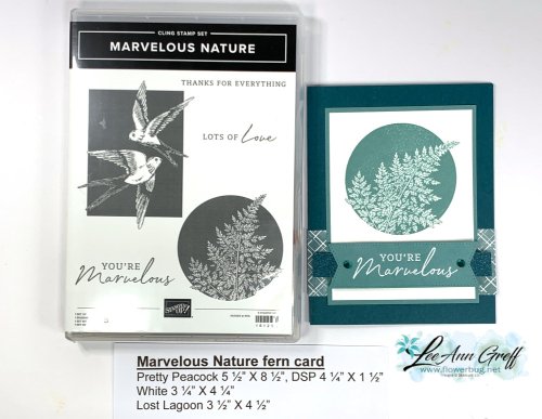 Marvelous Nature fern 