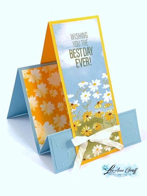 Playing in the rain2