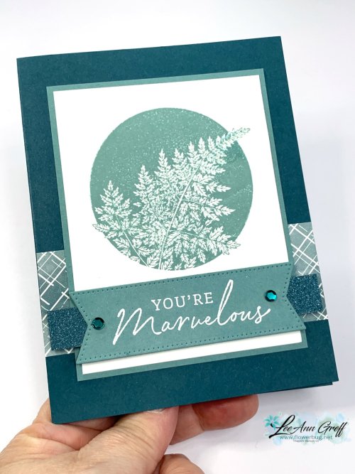 Marvelous Nature fern