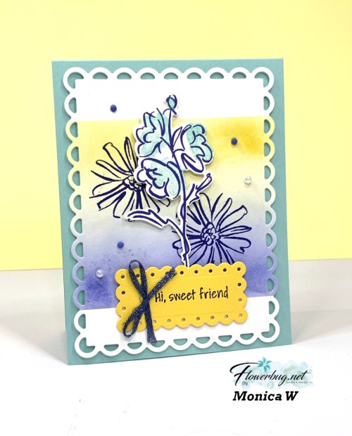 July Monica Color & contour set