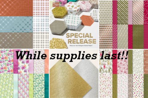 DSP online exclusives . DSP online exclusives .