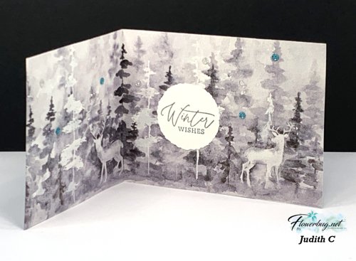 Magical Meadow DSP card Magical Meadow DSP card