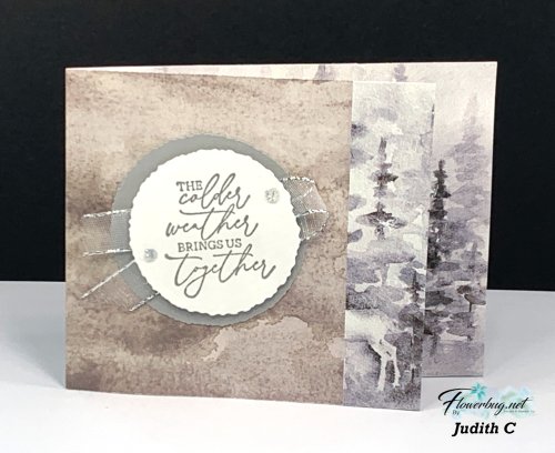 Magical Meadow DSP card. Magical Meadow DSP card.