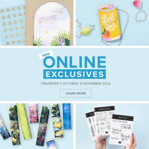 November Online exclusives November Online exclusives