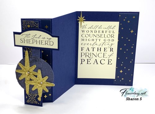 Nov Sharon Night Divine..