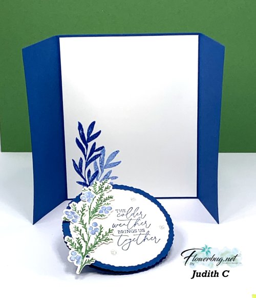 Magical Meadow gatefold .