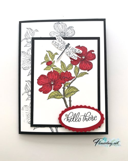 Detailed Dogwood in red Detailed Dogwood in red