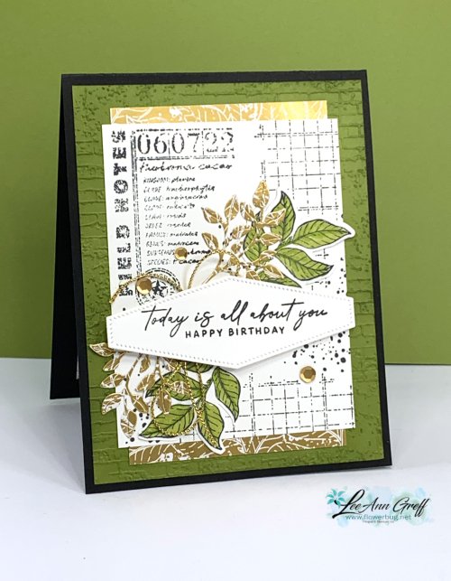 Notes of Nature Olive