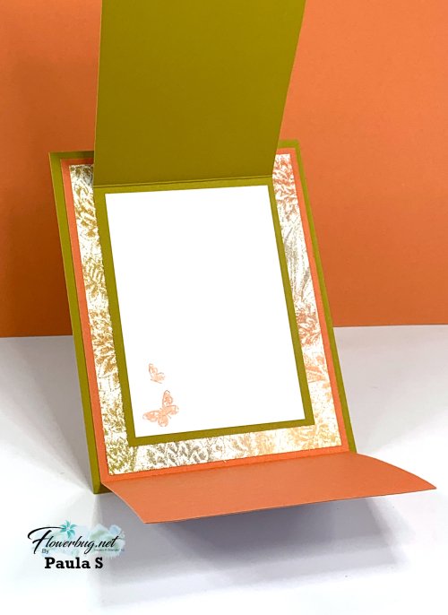 Jan Paula Softly Stippled