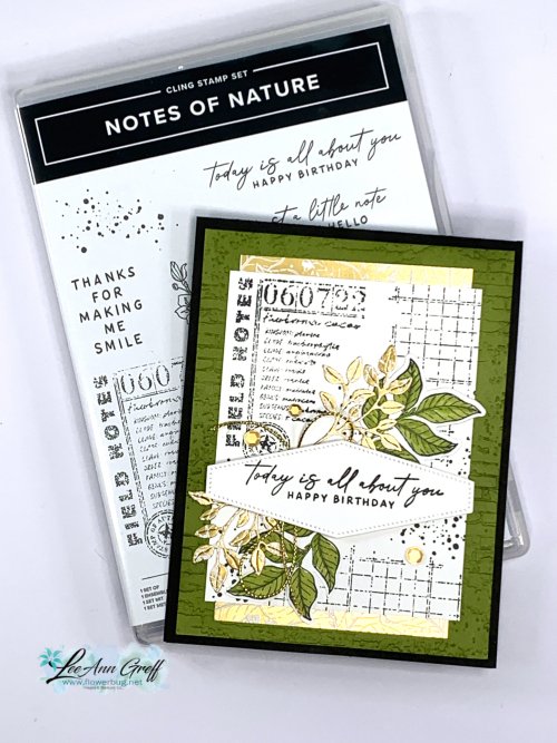 Notes of Nature Olive..