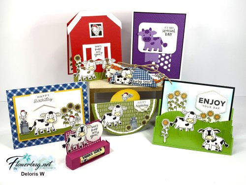 Cutest Cows Deloris All