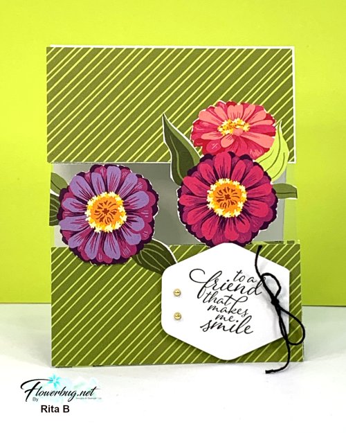 March Rita Flowering Zinnias