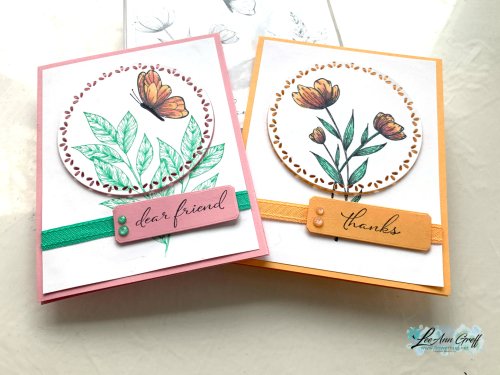 Spotlight on Nature Club 