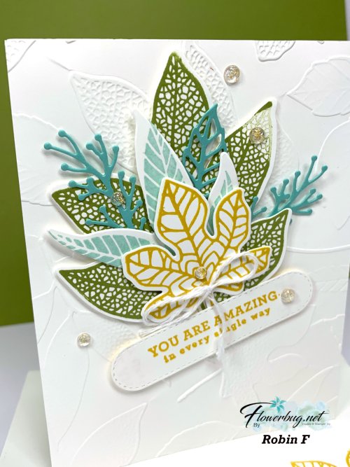 July Robin Changing Leaves. 