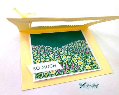 Fields in Bloom open