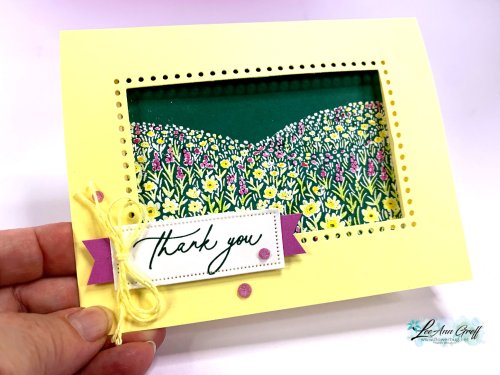 Fileds in Bloom window