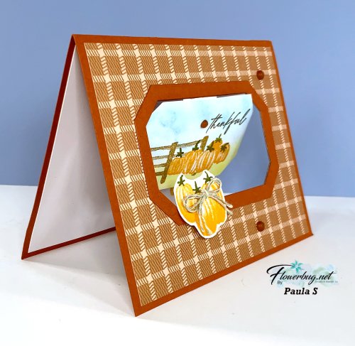 Sept Paula Pumpkin patch