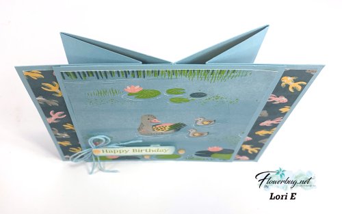 August Lori Lily Pond Lane 