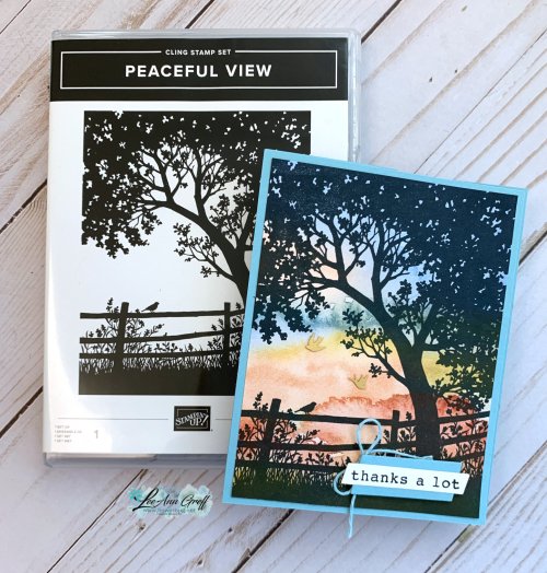 Peaceful View June club