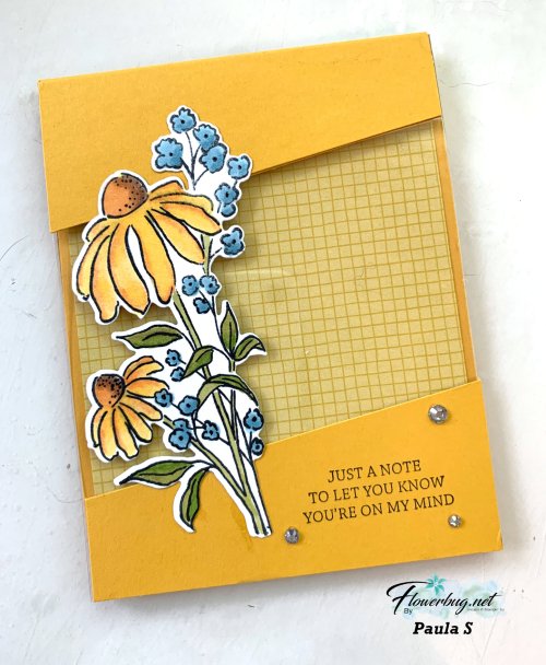 July Paula Reverse Image tech