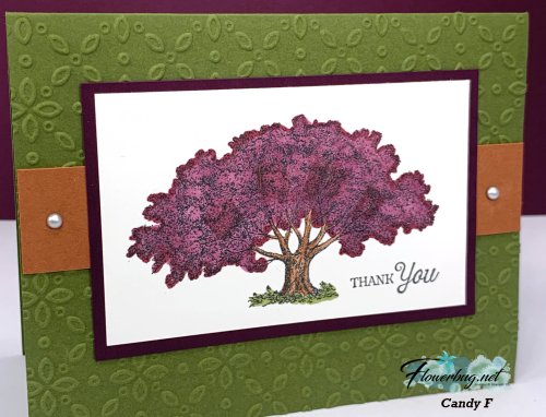 May Candy Loveliest Tree