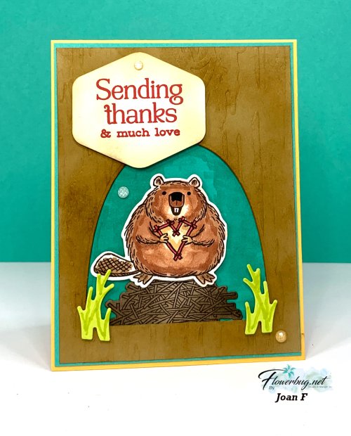 July Joan Fluffiest Friends