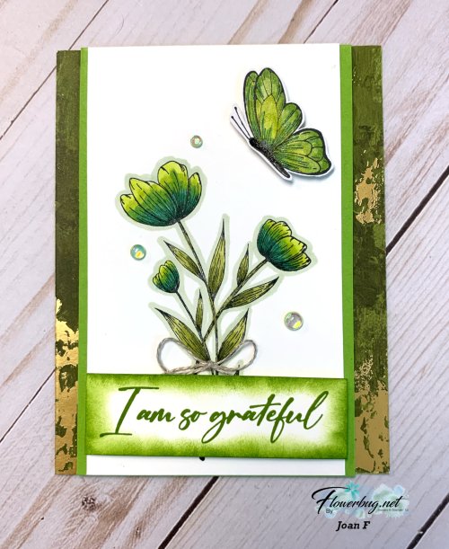 August Joan Spotlight