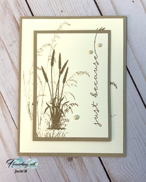 August Jacki Prairie Grass