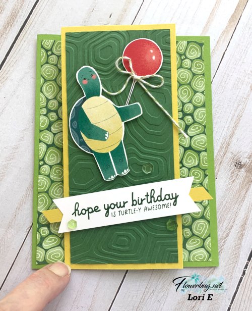 May Lori Turtley cute May Lori Turtley cute