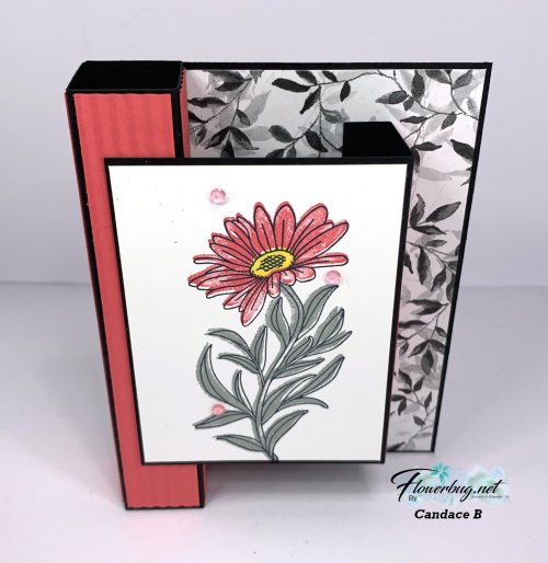 June Candace You are Remarkable June Candace You are Remarkable