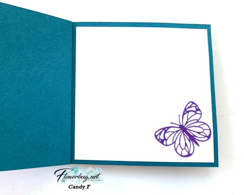 July Candy Butterfly inside