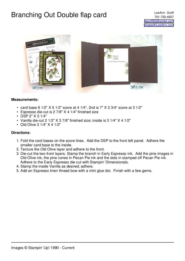 thumbnail of Branching Out double flap fold