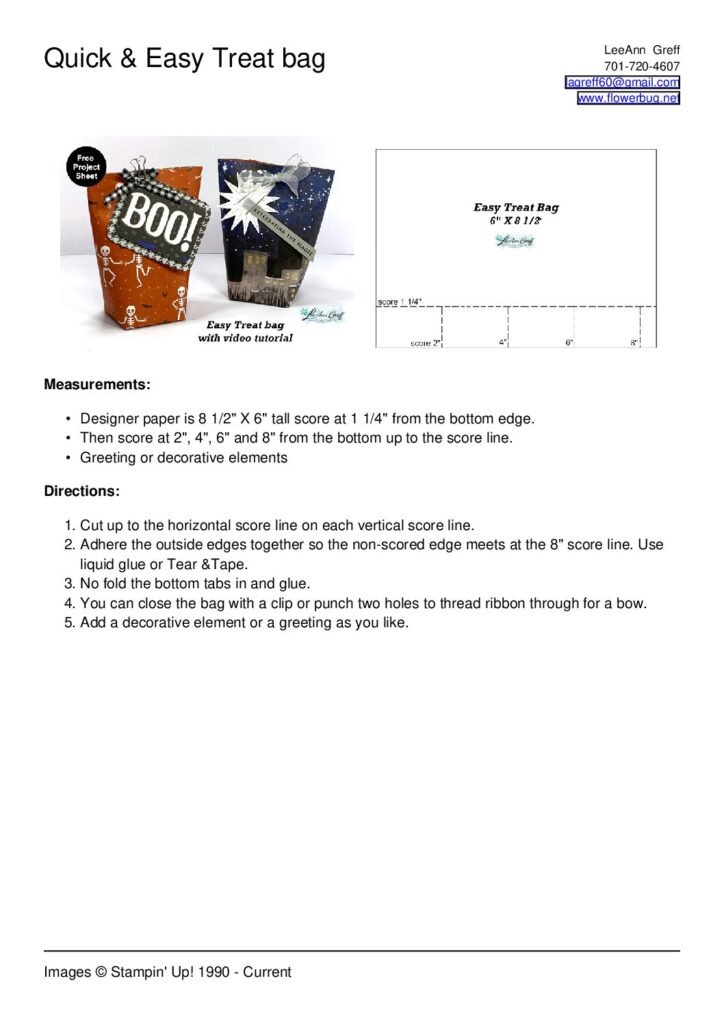 thumbnail of Easy Treat bag with template