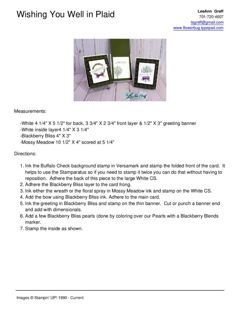 thumbnail of Sept Wishing You Well in Plaid