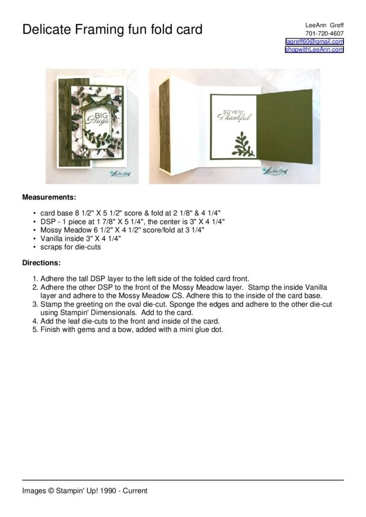 thumbnail of Delicate Framing fun fold card